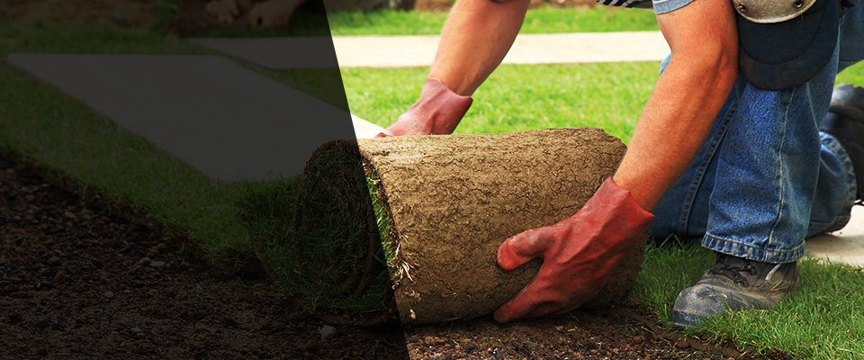 Enid Landscapers